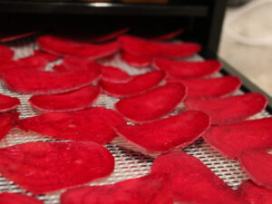 Betterave séché sans sucre